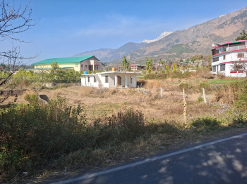  Residential Plot for Sale in Birta, Kangra