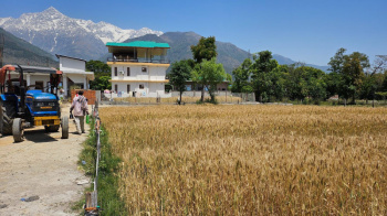  Residential Plot for Sale in Sakoh, Kangra