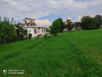  Residential Plot for Sale in Rait, Kangra
