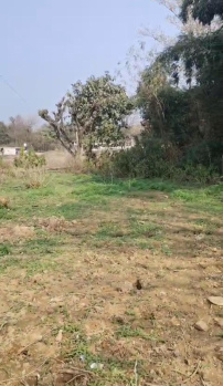  Residential Plot for Sale in Sidhbari, Dharamsala