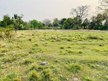  Residential Plot for Sale in Shyam Nagar, Dharamsala