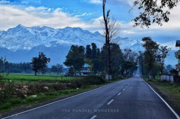  Residential Plot for Sale in Yol Cantt, Dharamsala