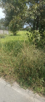  Residential Plot for Sale in Palampur Road, Dharamsala