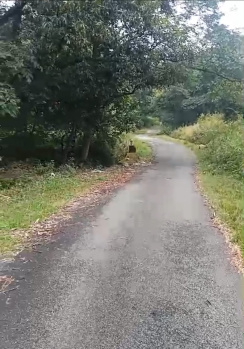  Residential Plot for Sale in Gharoh, Dharamsala