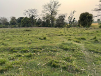  Residential Plot for Sale in Dari, Dharamsala