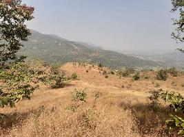  Agricultural Land for Sale in Poladpur, Raigad