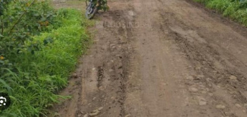 Residential Plot for Sale in Koregaon Park, Pune