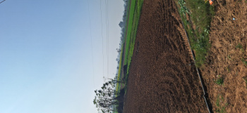  Agricultural Land for Sale in Naugaon, Alwar