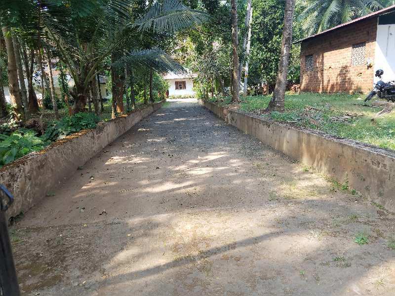 Residential Plot 8 Cent for Rent in Chettikulam, Kozhikode