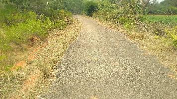  Agricultural Land for Sale in Budalur, Thanjavur