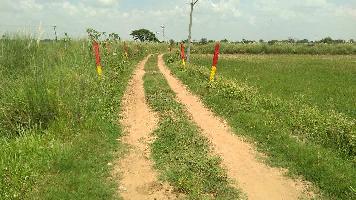  Agricultural Land for Sale in Ayyampettai, Thanjavur