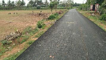  Agricultural Land for Sale in Vallam, Thanjavur