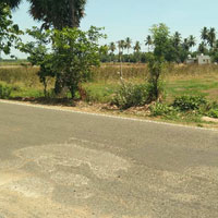  Agricultural Land for Sale in Thiruvaiyaru, Thanjavur