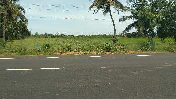  Commercial Land for Sale in Marungulam, Thanjavur