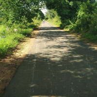  Agricultural Land for Sale in Cheyyar, Tiruvannamalai