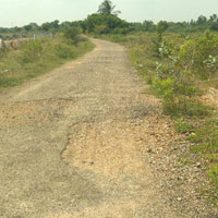  Agricultural Land for Sale in Kulathur, Pudukkottai