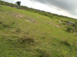  Agricultural Land for Sale in Dubrajpur, Birbhum