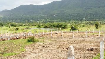  Residential Plot for Sale in Owale, Pune