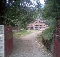  Residential Plot for Sale in Ayarpatta, Nainital