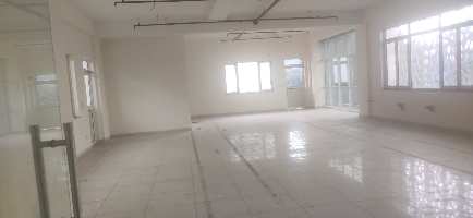  Factory for Rent in Phase 2 Noida