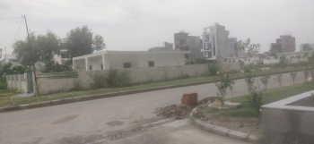  Residential Plot for Sale in Sector 131 Noida
