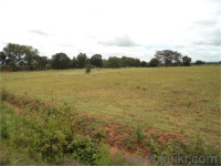  Residential Plot for Sale in Sigma 2, Greater Noida