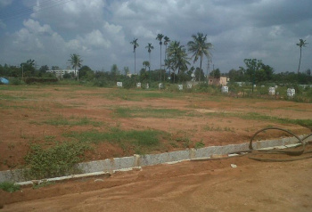  Residential Plot for Sale in Sector 131 Noida