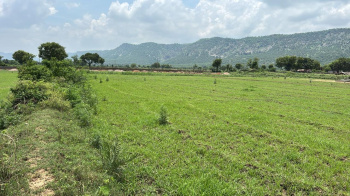  Agricultural Land for Sale in Thanagazi, Alwar