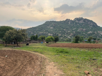  Agricultural Land for Sale in Naugaon, Alwar