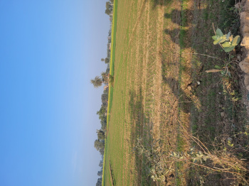 Agricultural Land for Sale in Khairthal, Alwar