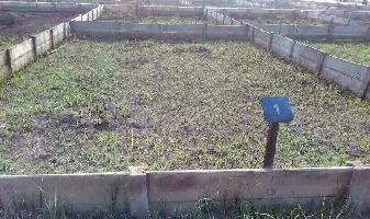  Residential Plot for Sale in Olpad, Surat