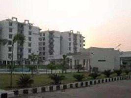 2 BHK Flat for Rent in VIP Road, Zirakpur