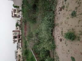  Residential Plot for Sale in Nabha, Patiala