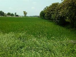  Agricultural Land for Sale in GT Road, Phagwara