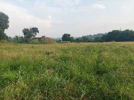  Agricultural Land for Sale in Athola, Silvassa