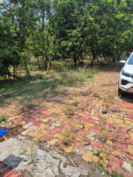  Agricultural Land for Sale in Bhilad, Valsad