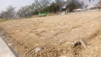  Commercial Land for Sale in Manor, Palghar