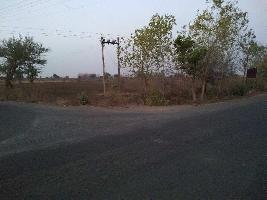  Agricultural Land for Rent in Hinganghat, Wardha