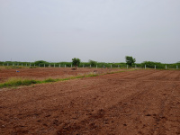 Agricultural Land for Sale in Nedumkulam, Madurai