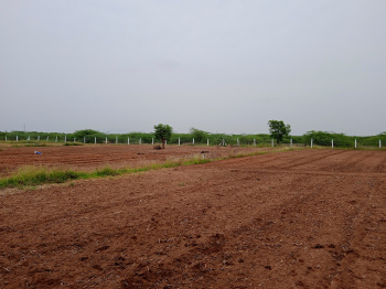  Agricultural Land for Sale in Nedumkulam, Madurai