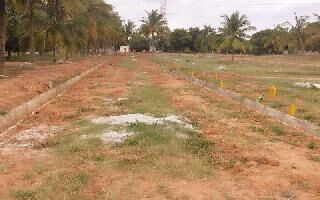 Residential Plot for Sale in Bagalur, Bangalore