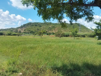  Commercial Land for Sale in Panvel, Navi Mumbai