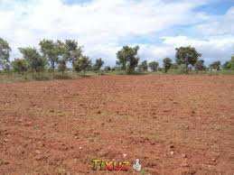 Agricultural Land 100 Acre for Sale in Yamuna Expressway, Mathura