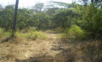  Residential Plot for Sale in Bardez, Goa