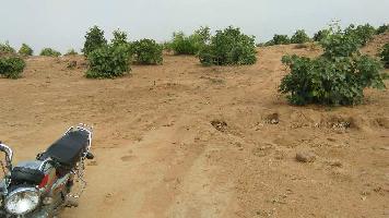  Agricultural Land for Sale in Badagaon, Tikamgarh