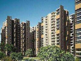 2 BHK Flat for Sale in Apollo DB City, Indore