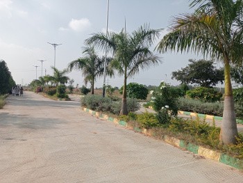  Residential Plot for Sale in Sector 97, Faridabad
