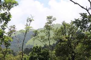  Agricultural Land for Sale in Coorg, Mysore