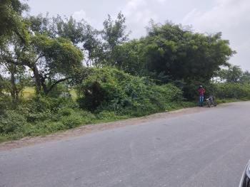  Agricultural Land for Sale in Gangaganj, Lucknow
