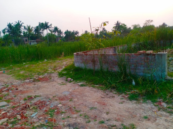  Agricultural Land for Sale in Joka, Kolkata